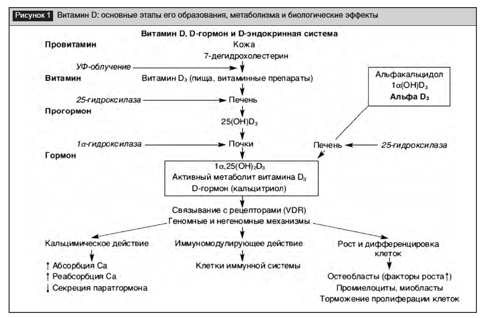 Современные тенденции в диагностике, профилактике и лечении дефицита ...